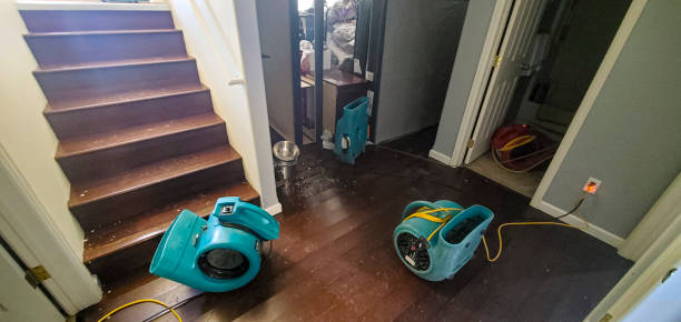 Best Water damage restoration near me  in Haven, KS