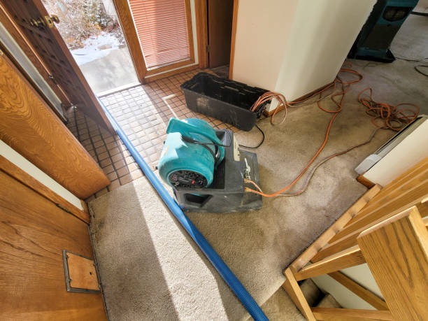 Best 24/7 water damage repair  in Haven, KS
