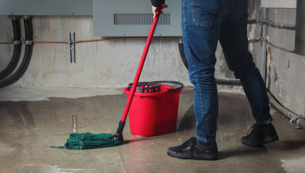 Best 24-hour water damage restoration  in Haven, KS