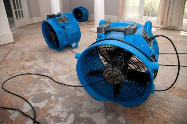 Best Ceiling water damage repair  in Haven, KS