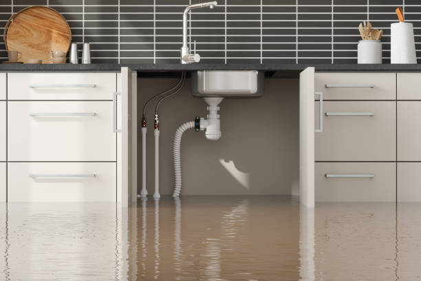 Best Local water damage restoration  in Haven, KS