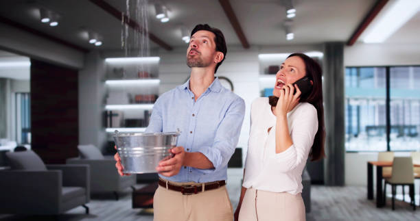 Best Water damage restoration mold remediation  in Haven, KS