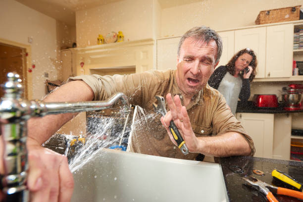 Best Water damage contractors near me  in Haven, KS
